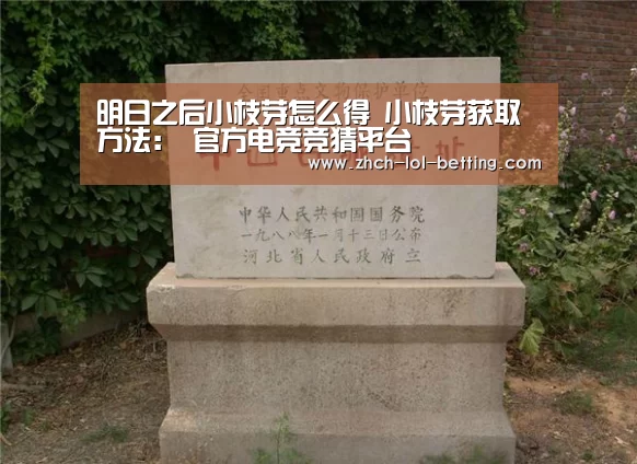  官方电竞竞猜平台