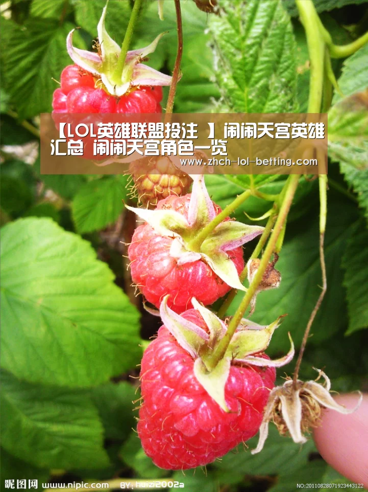 【LOL英雄联盟投注 】闹闹天宫英雄汇总 闹闹天宫角色一览(图2) LOL英雄联盟投注
