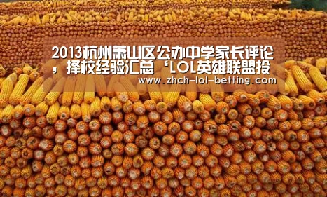 2013杭州萧山区公办中学家长评论，择校经验汇总‘LOL英雄