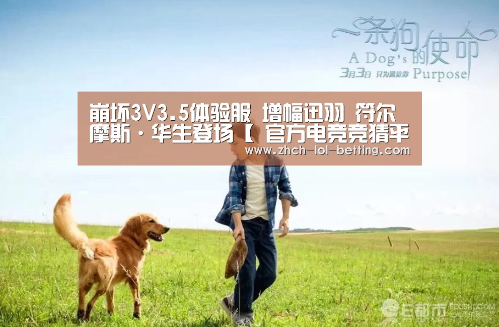 崩坏3V3.5体验服 增幅迅羽 符尔摩斯·华生登场【 官方电竞竞猜平台】(图2) LOL英雄联盟投注